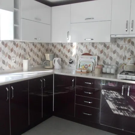 Ide * マルマリス